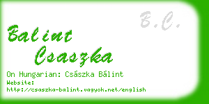 balint csaszka business card